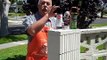 How To Get Rid of Hornets and Wasps - The Home Depot
