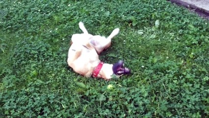 Via San Marco Verbania Italia