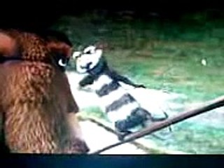 L'era glaciale 2 - lo schianto degli opossum