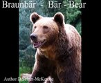 Bär Braunbär Bear Tiere Animals Natur SelMcKenzie Selzer-McKenzie