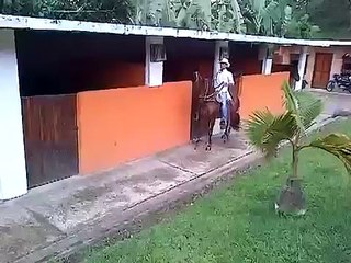 Electron de san cristobal