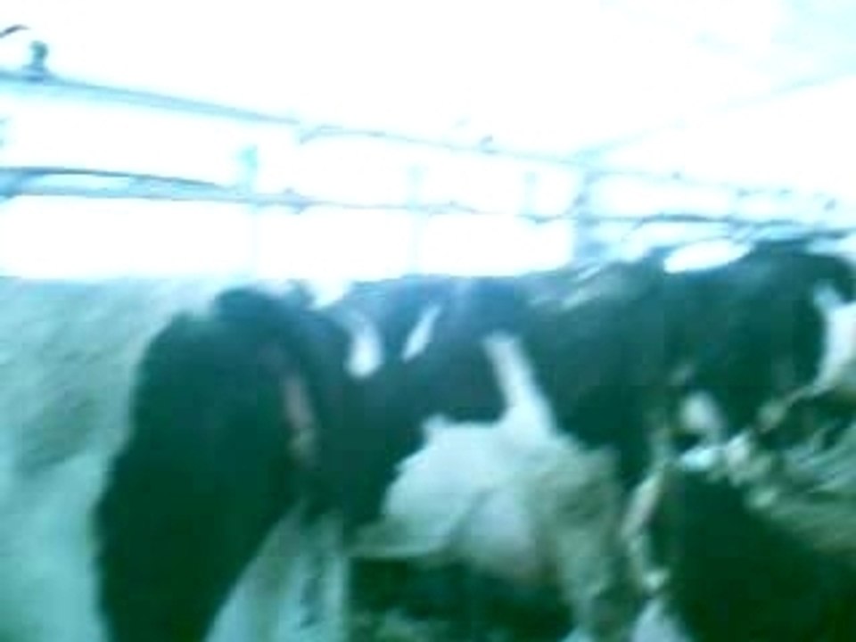 IMAG0008