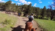 Horseback Riding in Estes Park, Colorado