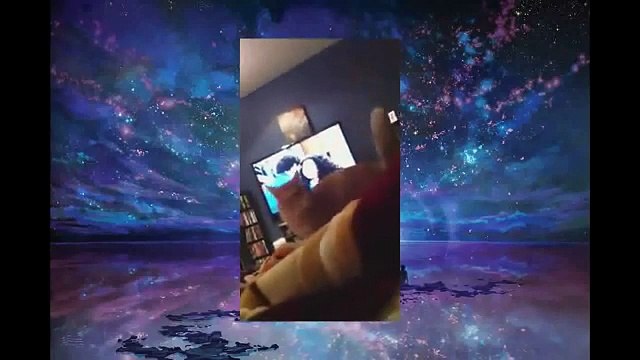 TOP Funny Cats Compilation 2014 Funniest Cats Videos Cat Fails Cute Cats Humour Cat-copypasteads.com