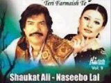 Chann Mere Ya || Nasiboo Lal  / Shokat Ali  ll latest punjabi song ll (OFFICIAL VIDEO)