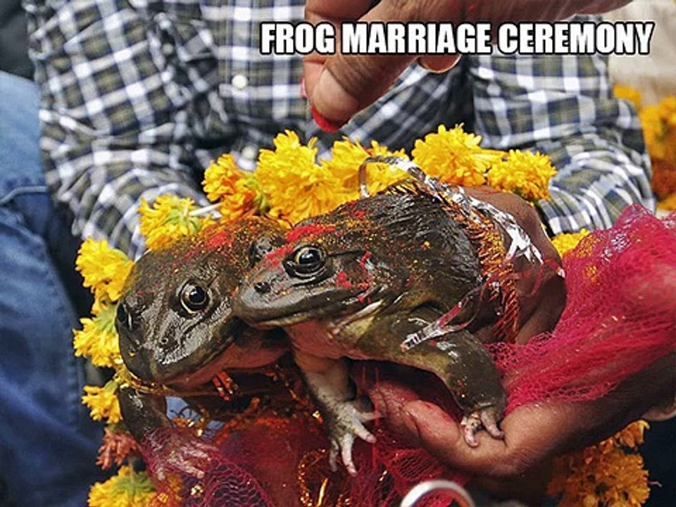 The Real India, Only In India, Happens Only In India[1]