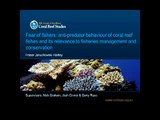 Anti-predator behaviour of coral reef fishes - Fraser Januchowski-Hartley