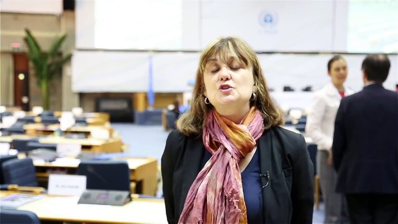 Понизова Ольга,  директор Центра по проблемам окружающей среды и устойчивого развития «ЭКО-Согласие»