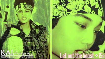 KAI Compilation - EXO The 1st Album XOXO (Kiss&Hug)