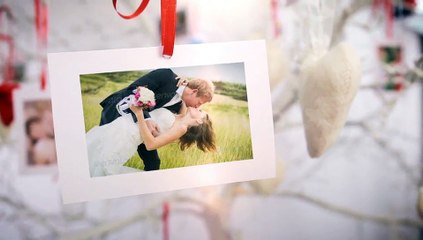 After Effects Project Files - Photo Gallery On The Tree Of Love - VideoHive 7390240
