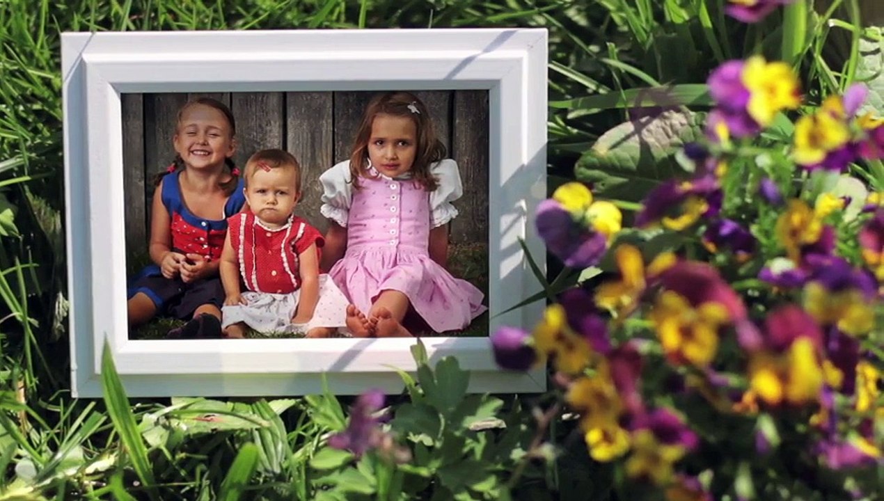 After Effects Project Files - Photo Gallery Sun and Flowers - VideoHive 7406637