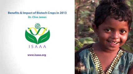 Benefits and Impact of Biotech Crops in 2013