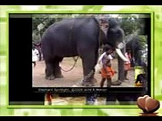 FUNNY MALAYALAM HOT  PHONE CALL ROCKY JAHANKEER 03 REFUND