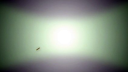 After Effects Project Files - Happy Easter - VideoHive 7444304