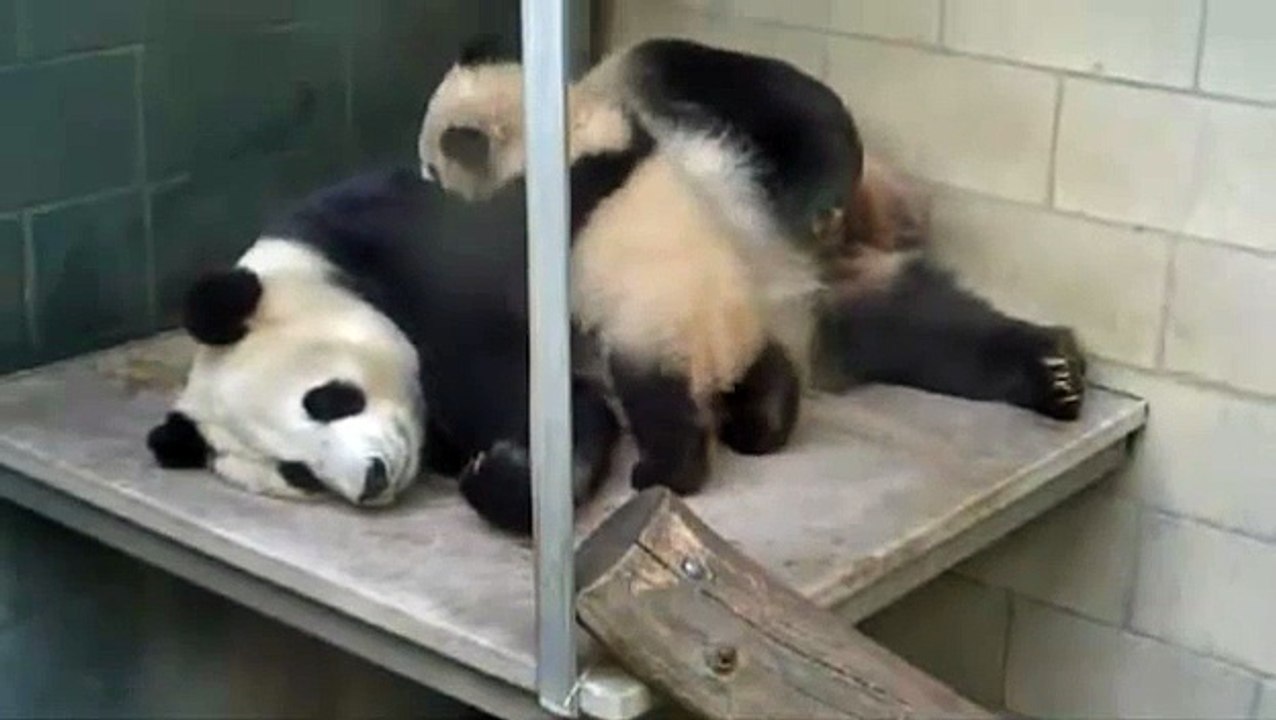 2013-01-22 The Hard-Knock Education of Xiao Liwu