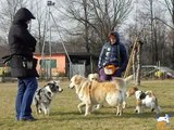 Cani per Caso - Classe di Comunicazione e socializzazione 2012-01-29 foto