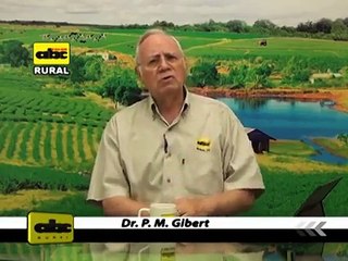 Alimentación de ganado a grano entero