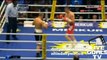 Arthur Abraham - Robert Stieglitz Boxing WBO Round 4/12