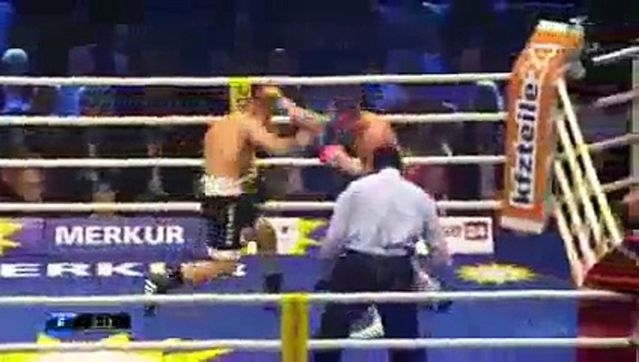 Arthur Abraham vs Robert Stieglitz KNOCKOUT