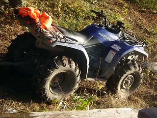 chasse a l'orignal 2006 abitibi