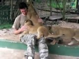 Cuccioli di leoni a caccia di...teneri abbracci !!!