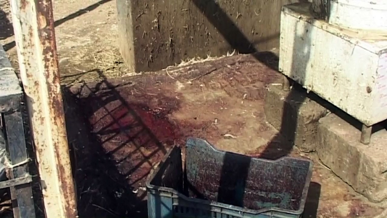 Atentado suicida deixa mais de 100 mortos no Iraque
