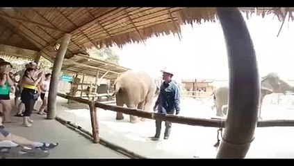 Incendiary elephants