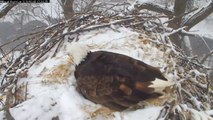 MNBound Eagles ~ Mom's Wet Blanket ~ 03/03/15