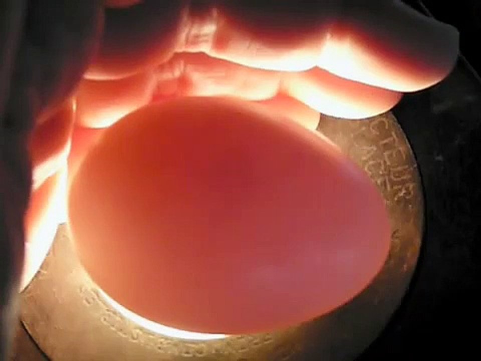 Candling a Fertile Egg