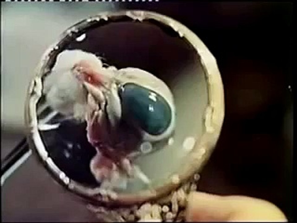 The Curse of Frankenstein censored eyeball shot