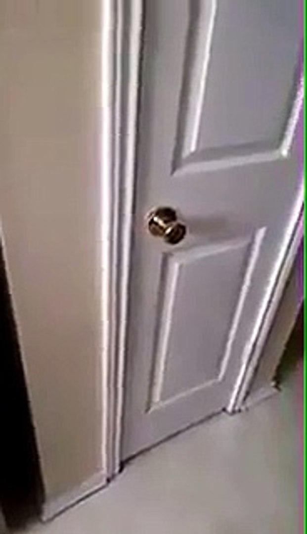 ⁣Animals saving other animals