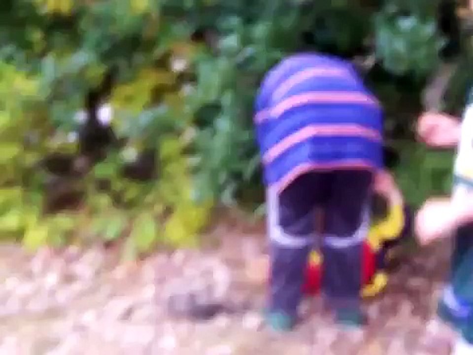 homeless boy
