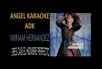 MIRIAN HERNANDEZ   eres casi el hombre perfecto   Voz letras  ADK