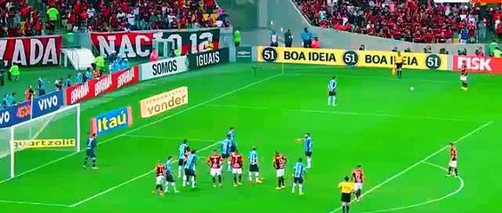 Con gol de Paolo Guerrero: Flamengo ganó 1-0 a Gremio por el Brasileirao