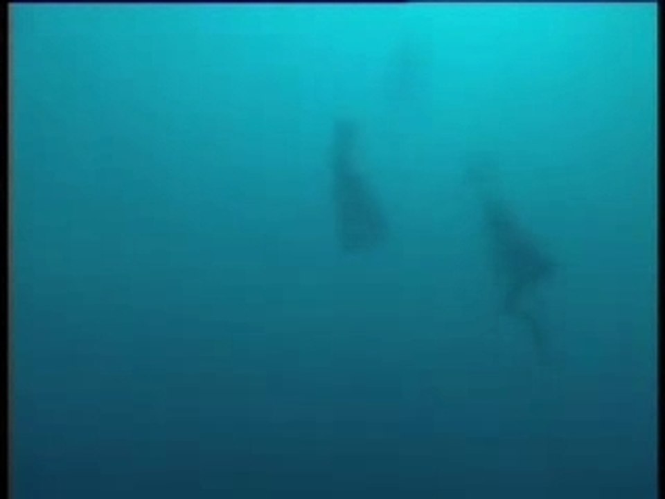 Poseidon2006
