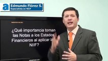 Importancia de las Notas a los Estados Financieros en NIIF