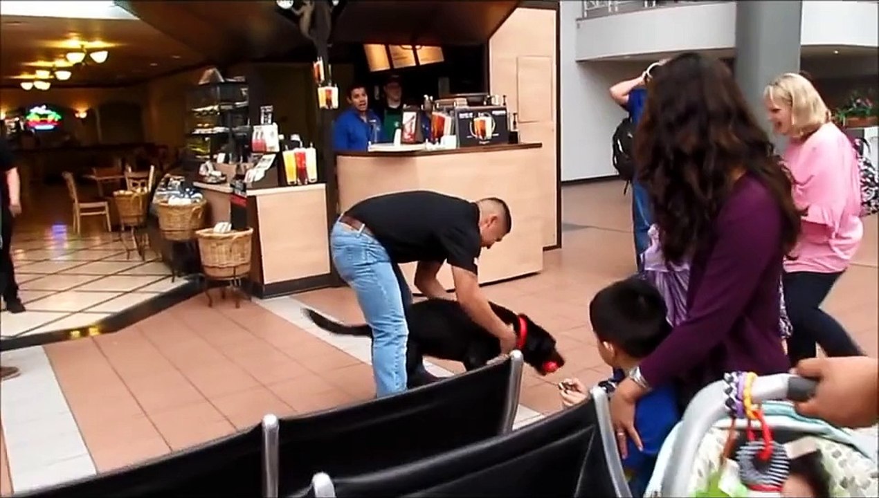 Marine Vet and Military Dog Reunion