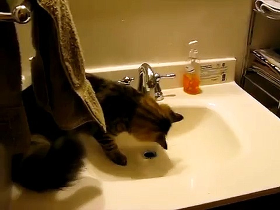 Tigger Washes Up .AVI