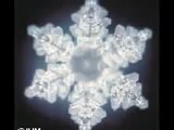 Water, Consciousness & Intent- How Emotions Affect Everything- Dr Masaru Emoto