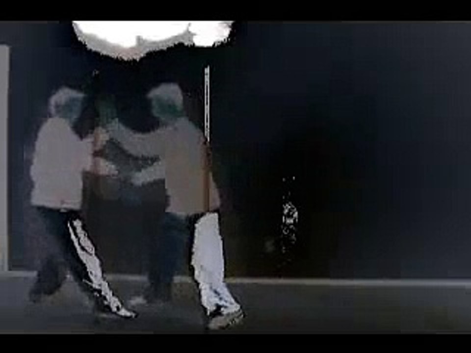 Dr. Marcus Brinkman Bagua San Shou Demo