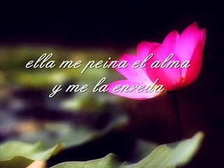 Alejandro Sanz - Y Si Fuera Ella (lyrics)