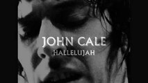 John Cale - HALLELUJAH - Leonard Cohen Cover