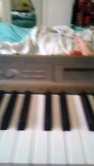 PIANO TUTORIAL ODE AL POMODORO!