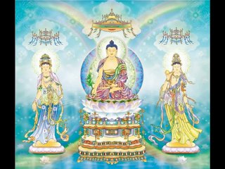 Chú Đai Bi - 15 biến tiếng việt