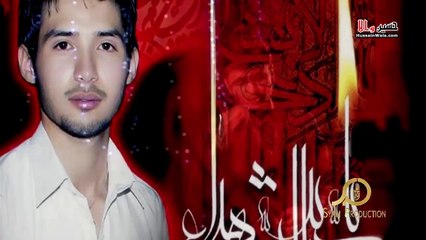 Sun Azmat e Shaheed - Danish Rizvi Volume 2015