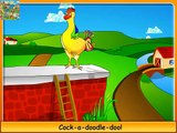 Cock a doodle doo. Mother Goose English Nursery Rhymes. English Children Songs nursery rhymes