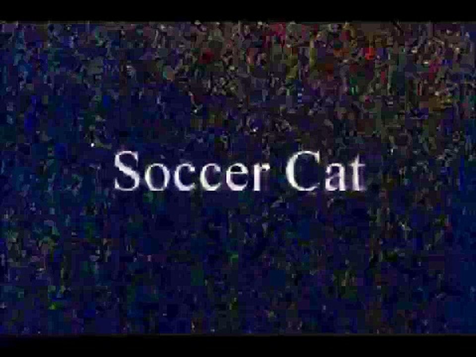 Soccer Cat