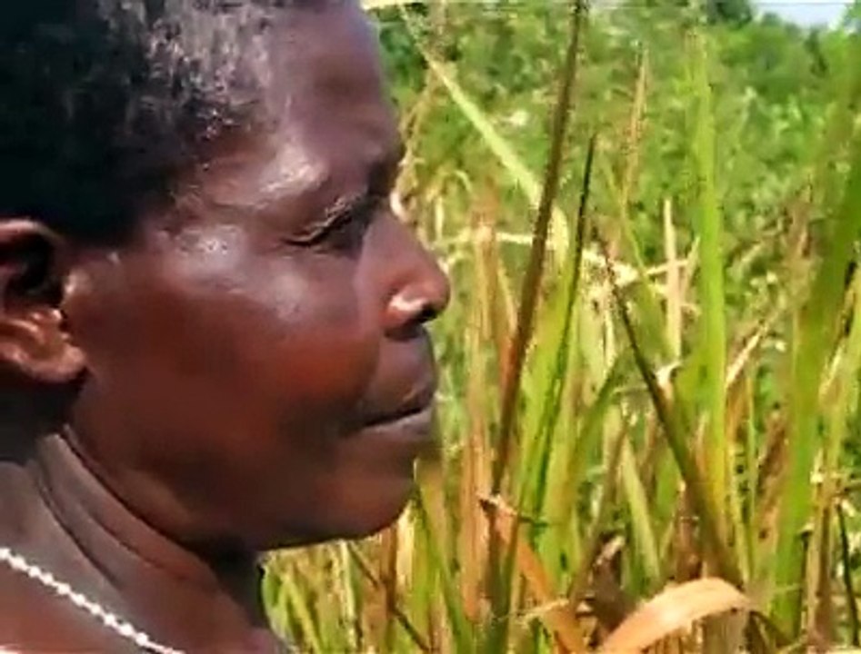 Ugandan Fistula Survivor: Jane's Story