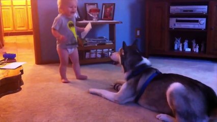 TOP VIRAL VIDEOS OF WEEK #6 2015