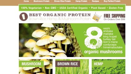 Protein Powder Reviews, Best Protein Powder Available
